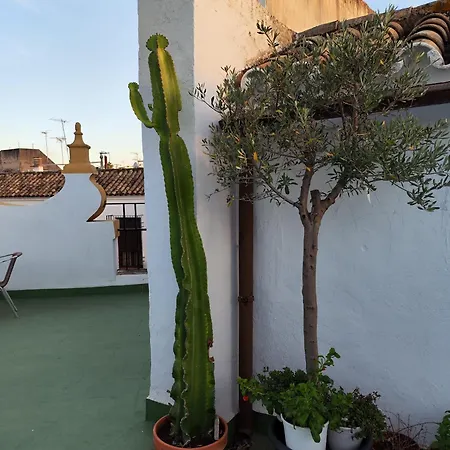 Casa Paliani Hébergement de vacances *