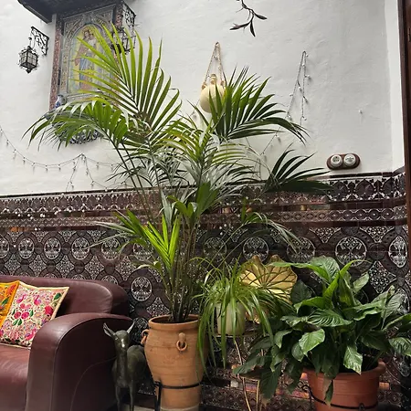 Casa Paliani 別荘